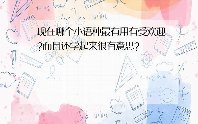 现在哪个小语种最有用有受欢迎?而且还学起来很有意思?