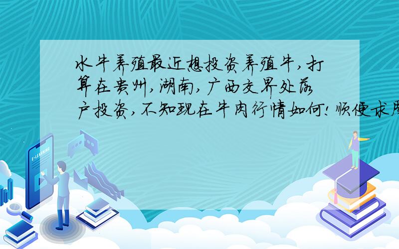 水牛养殖最近想投资养殖牛,打算在贵州,湖南,广西交界处落户投资,不知现在牛肉行情如何!顺便求周边收购商共同发展.