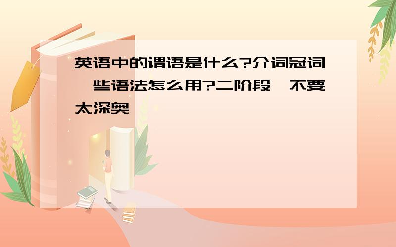 英语中的谓语是什么?介词冠词一些语法怎么用?二阶段,不要太深奥,