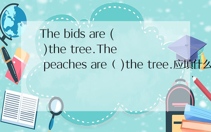 The bids are ( )the tree.The peaches are（ )the tree.应填什么.