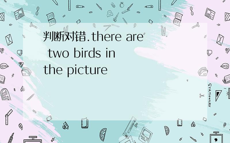 判断对错.there are two birds in the picture