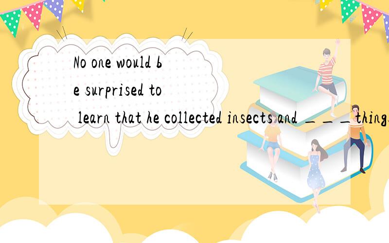 No one would be surprised to learn that he collected insects and ___things?A] others such [B] such another [C] other such [D] such other