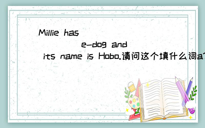Millie has _______ e-dog and its name is Hobo.请问这个填什么词a?an?the?还是不填