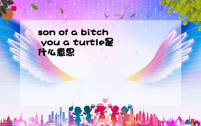 son of a bitch you a turtle是什么意思