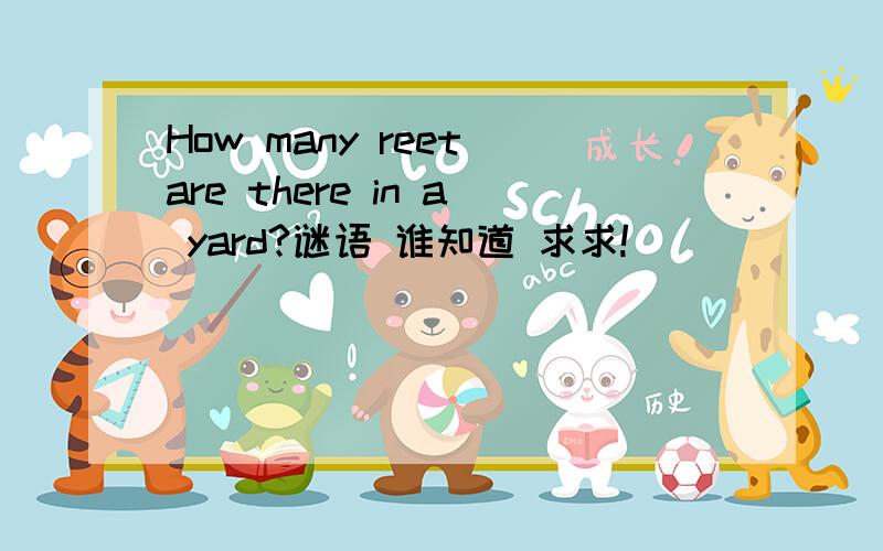 How many reet are there in a yard?谜语 谁知道 求求!
