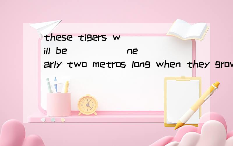 these tigers will be _____nearly two metros long when they grow up .这些老虎成年后会长到两米.