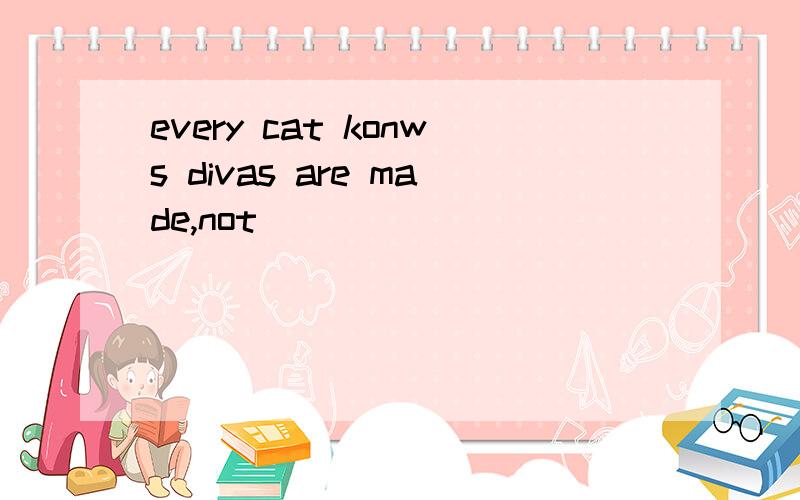 every cat konws divas are made,not