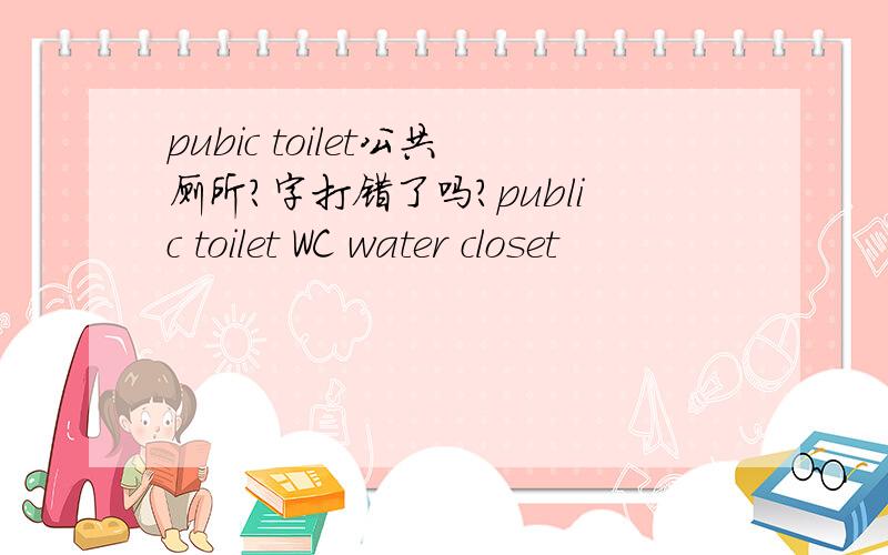 pubic toilet公共厕所?字打错了吗?public toilet WC water closet