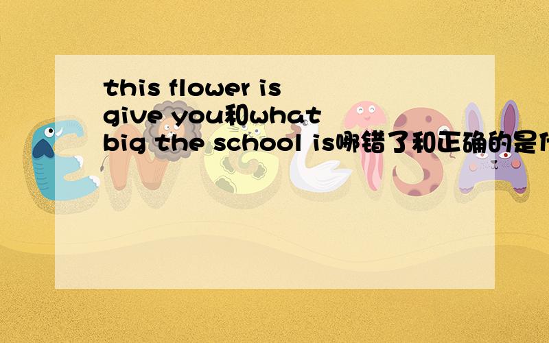 this flower isgive you和what big the school is哪错了和正确的是什么