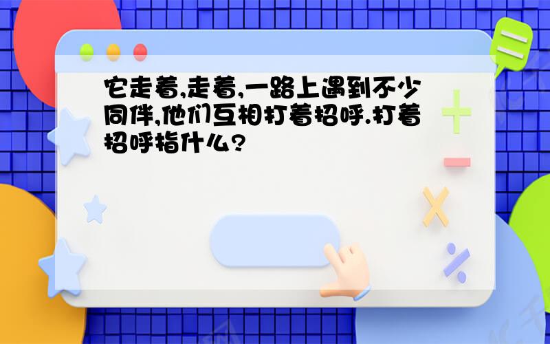 它走着,走着,一路上遇到不少同伴,他们互相打着招呼.打着招呼指什么?