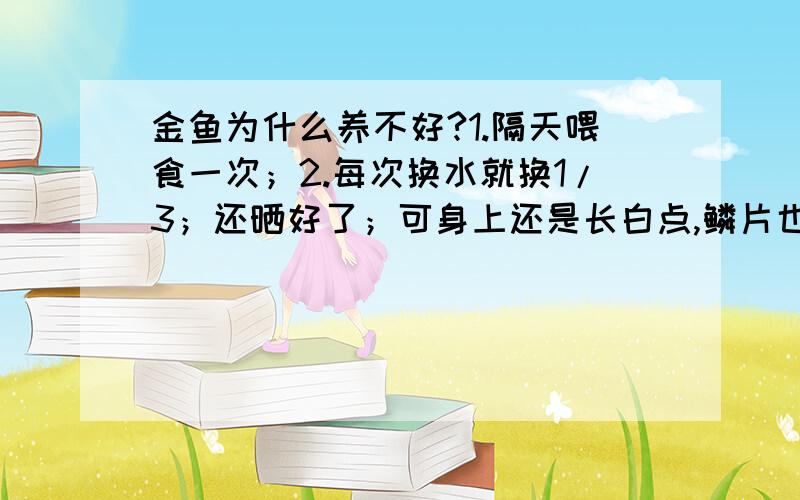 金鱼为什么养不好?1.隔天喂食一次；2.每次换水就换1/3；还晒好了；可身上还是长白点,鳞片也脱落,用药也不行...总是死去!