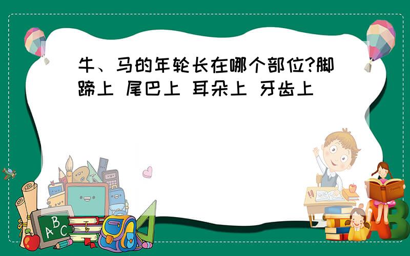 牛、马的年轮长在哪个部位?脚蹄上 尾巴上 耳朵上 牙齿上