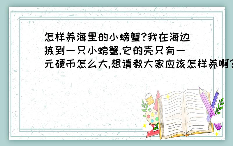 怎样养海里的小螃蟹?我在海边拣到一只小螃蟹,它的壳只有一元硬币怎么大,想请教大家应该怎样养啊?