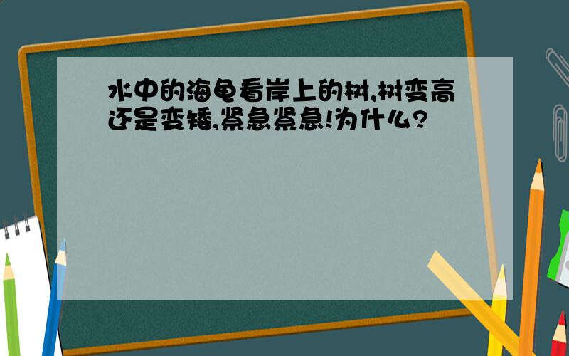 水中的海龟看岸上的树,树变高还是变矮,紧急紧急!为什么?