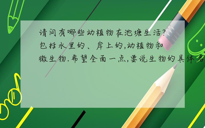 请问有哪些动植物在池塘生活?包括水里的、岸上的,动植物和微生物.希望全面一点,要说生物的具体名字种类,越全越好,感激不尽~