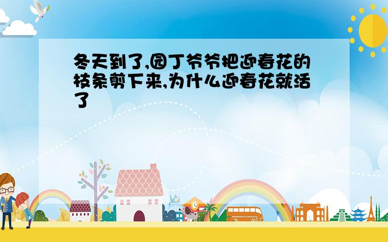 冬天到了,园丁爷爷把迎春花的枝条剪下来,为什么迎春花就活了