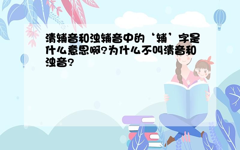 清辅音和浊辅音中的‘辅’字是什么意思啊?为什么不叫清音和浊音?