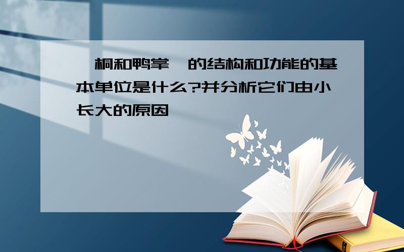 珙桐和鸭掌楸的结构和功能的基本单位是什么?并分析它们由小长大的原因