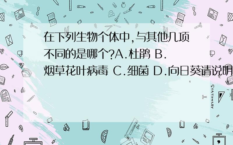 在下列生物个体中,与其他几项不同的是哪个?A.杜鹃 B.烟草花叶病毒 C.细菌 D.向日葵请说明为什么.