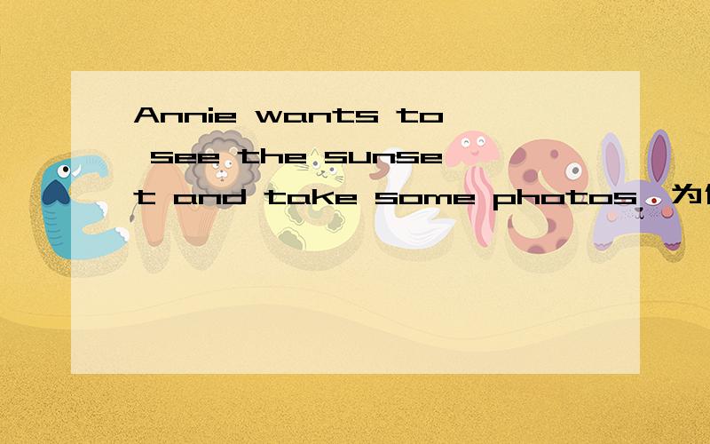 Annie wants to see the sunset and take some photos,为什么take不加s