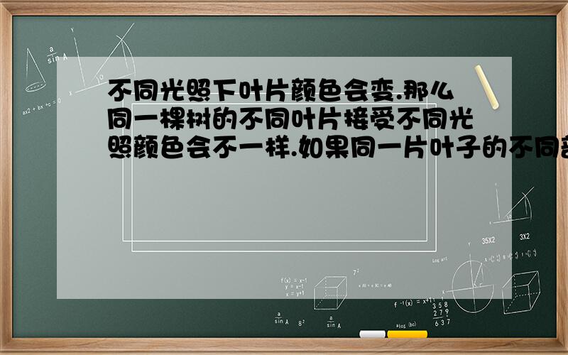 不同光照下叶片颜色会变.那么同一棵树的不同叶片接受不同光照颜色会不一样.如果同一片叶子的不同部位接