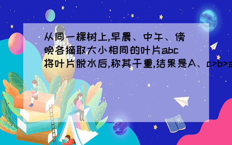 从同一棵树上,早晨、中午、傍晚各摘取大小相同的叶片abc将叶片脱水后,称其干重,结果是A、c>b>a B、a>b>cC、b>a>c D、a>c>b