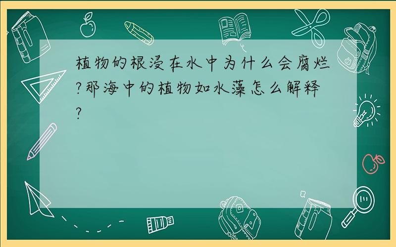 植物的根浸在水中为什么会腐烂?那海中的植物如水藻怎么解释?