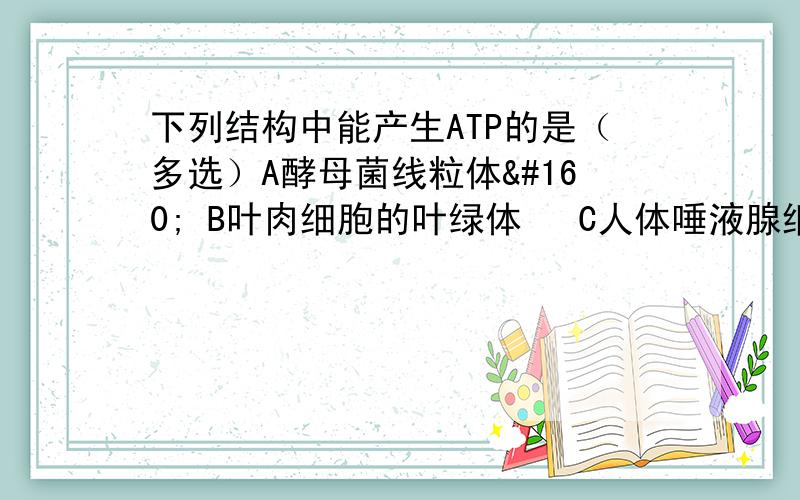 下列结构中能产生ATP的是（多选）A酵母菌线粒体  B叶肉细胞的叶绿体  C人体唾液腺细胞的线粒体  D洋葱根尖细胞的叶绿体  E蛔虫体细胞的线粒体