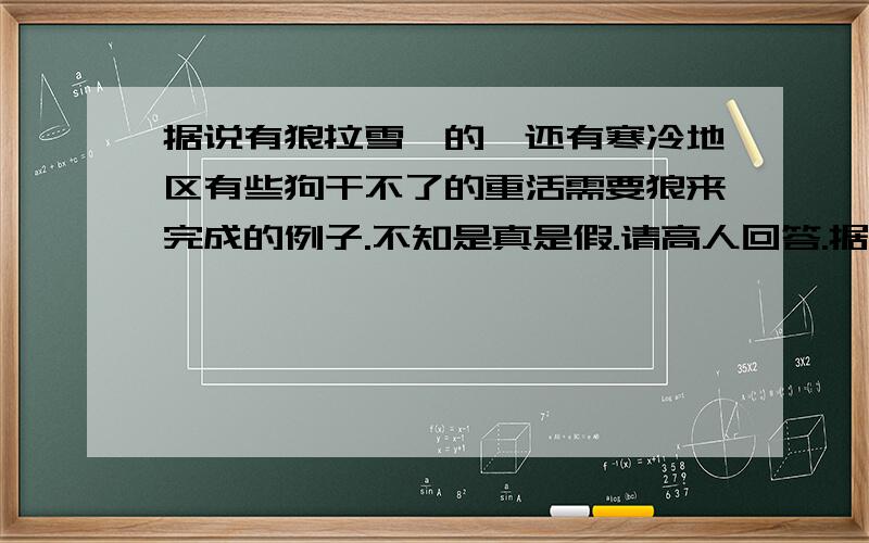 据说有狼拉雪橇的,还有寒冷地区有些狗干不了的重活需要狼来完成的例子.不知是真是假.请高人回答.据说有狼拉雪橇的,还有寒冷地区有些狗干不了的重活由狼来完成的例子.不知是真是假.如