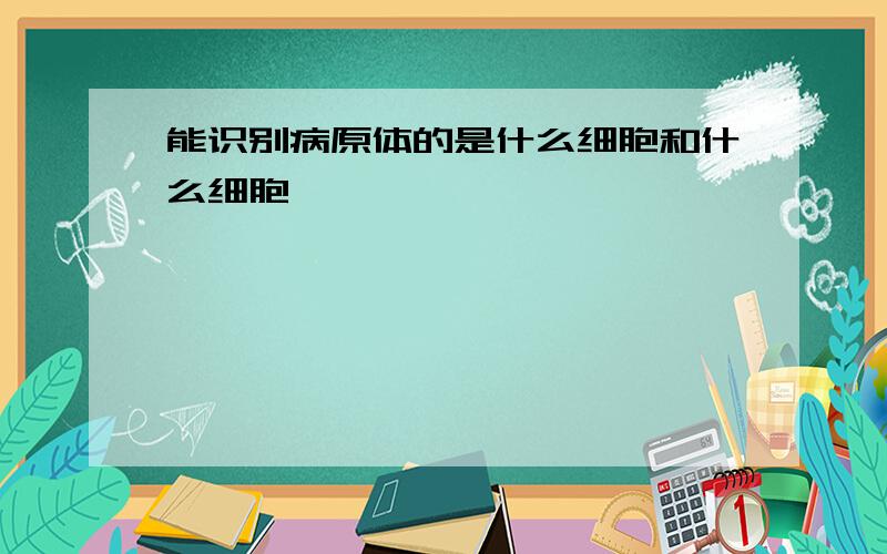 能识别病原体的是什么细胞和什么细胞