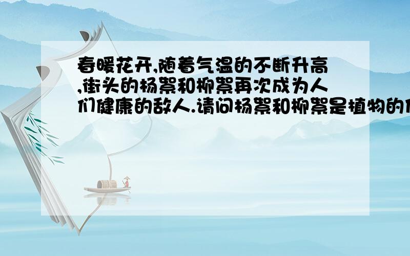 春暖花开,随着气温的不断升高,街头的杨絮和柳絮再次成为人们健康的敌人.请问杨絮和柳絮是植物的什么器官?有什么作用?