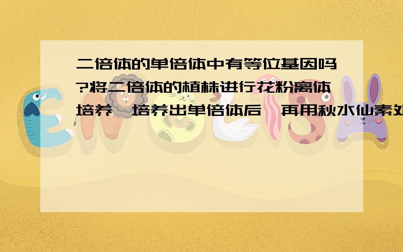 二倍体的单倍体中有等位基因吗?将二倍体的植株进行花粉离体培养,培养出单倍体后,再用秋水仙素处理,得到的二倍体中有没有同源染色体,以及有没有等位基因?如果没有,那得到的二倍体中怎