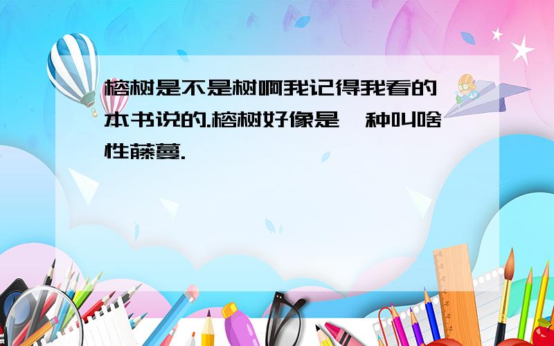 榕树是不是树啊我记得我看的一本书说的.榕树好像是一种叫啥性藤蔓.