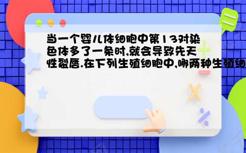 当一个婴儿体细胞中第13对染色体多了一条时,就会导致先天性裂唇.在下列生殖细胞中,哪两种生殖细胞的结合可能会产生先天性裂唇的男性患儿（A表示常染色体）①23A+x ②22A+X ③21A+Y ④22A+YA