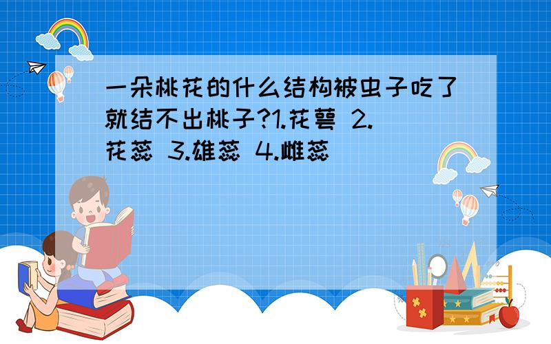 一朵桃花的什么结构被虫子吃了就结不出桃子?1.花萼 2.花蕊 3.雄蕊 4.雌蕊