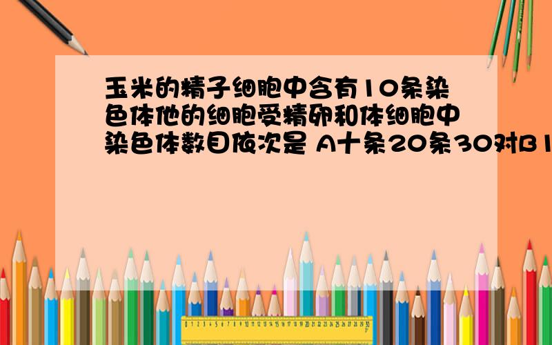 玉米的精子细胞中含有10条染色体他的细胞受精卵和体细胞中染色体数目依次是 A十条20条30对B10条10条10条