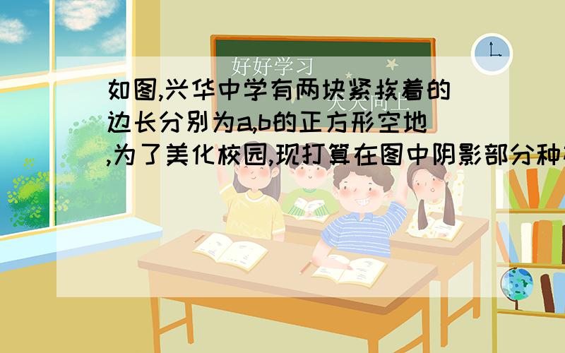 如图,兴华中学有两块紧挨着的边长分别为a,b的正方形空地,为了美化校园,现打算在图中阴影部分种植草皮↓求所要种植的草皮面积