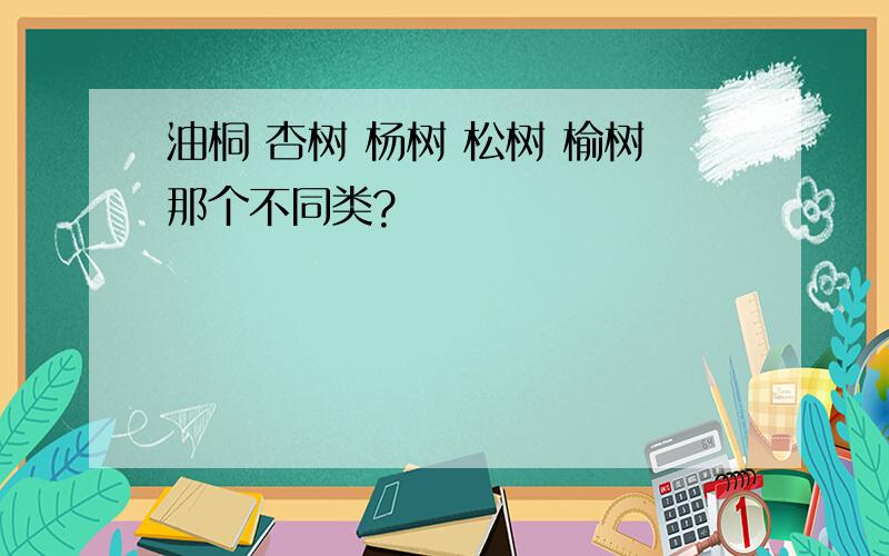 油桐 杏树 杨树 松树 榆树那个不同类?