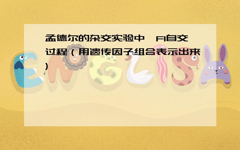 孟德尔的杂交实验中,F1自交过程（用遗传因子组合表示出来)