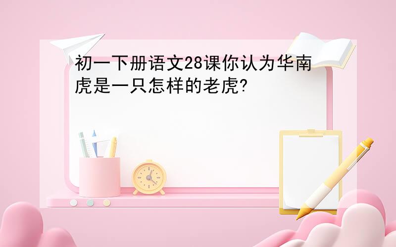 初一下册语文28课你认为华南虎是一只怎样的老虎?