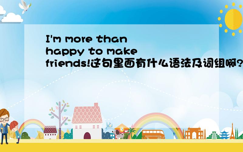 I'm more than happy to make friends!这句里面有什么语法及词组啊?