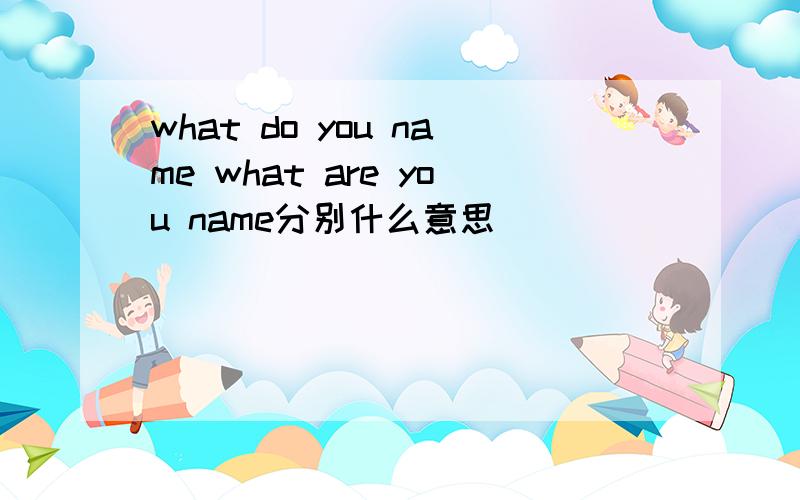 what do you name what are you name分别什么意思