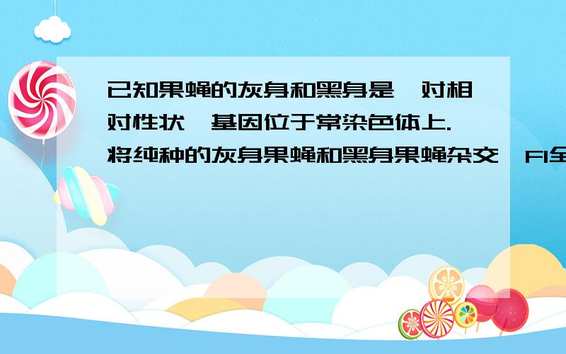 已知果蝇的灰身和黑身是一对相对性状,基因位于常染色体上.将纯种的灰身果蝇和黑身果蝇杂交,F1全为灰身,让F1自由交配,后代中灰身和黑身果蝇的比例为