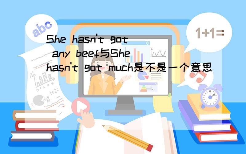 She hasn't got any beef与She hasn't got much是不是一个意思