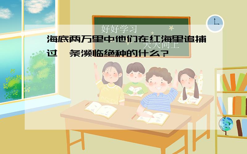 海底两万里中他们在红海里追捕过一条濒临绝种的什么?