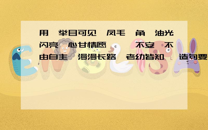 用【举目可见、凤毛麟角、油光闪亮、心甘情愿、忐忑不安、不由自主、漫漫长路、老幼皆知】 造句要连起来,速度啊只要选四个,