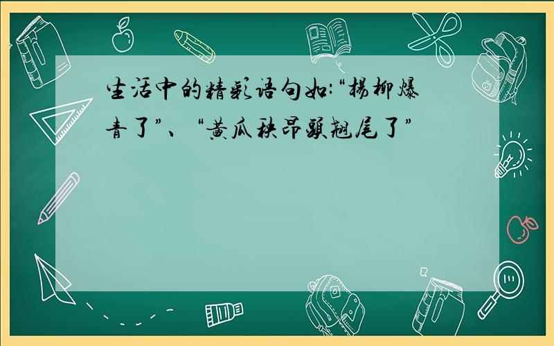 生活中的精彩语句如:“杨柳爆青了”、“黄瓜秧昂头翘尾了”