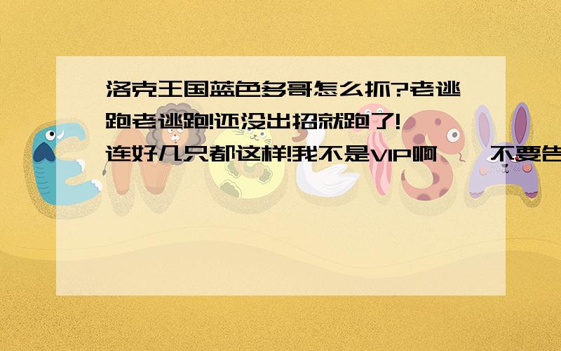 洛克王国蓝色多哥怎么抓?老逃跑老逃跑!还没出招就跑了!一连好几只都这样!我不是VIP啊……不要告诉我用国王球……还有啊,那些技能都是哪个精灵的啊……说清楚嘛……