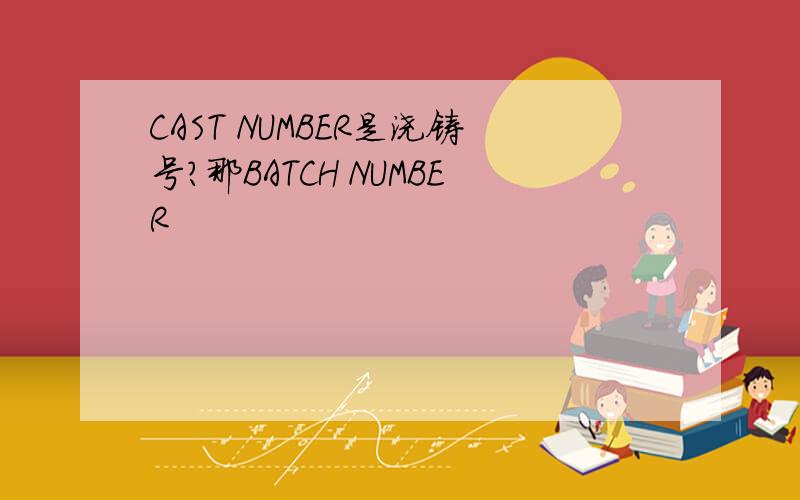 CAST NUMBER是浇铸号?那BATCH NUMBER