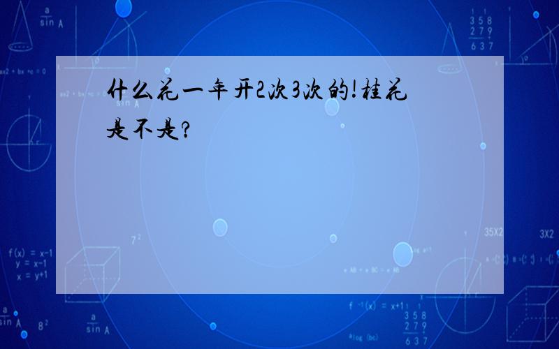 什么花一年开2次3次的!桂花是不是?